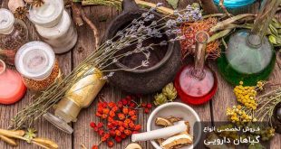 تصویر گیاهان دارویی بالن