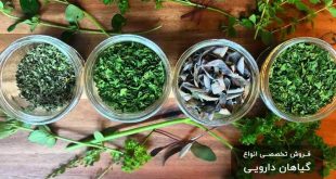 فروش گیاهان دارویی پر خواص