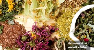 تصویر گیاهان دارویی کمیاب