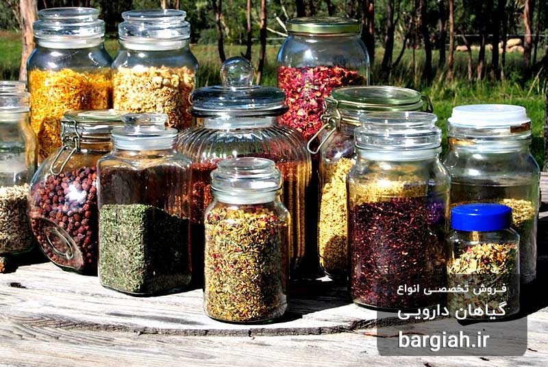 تصویر گیاهان دارویی