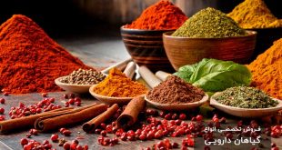 تصویر معرفی برخی گیاهان دارویی