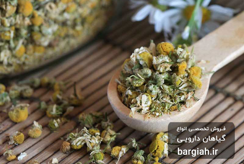 تصویر بابونه خشک