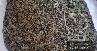 تصویر برگ حنا فله ای