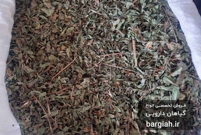 تصویر برگ حنا فله ای 