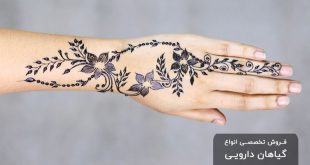 تصویر طراحی با حنا هندی بر روی دست